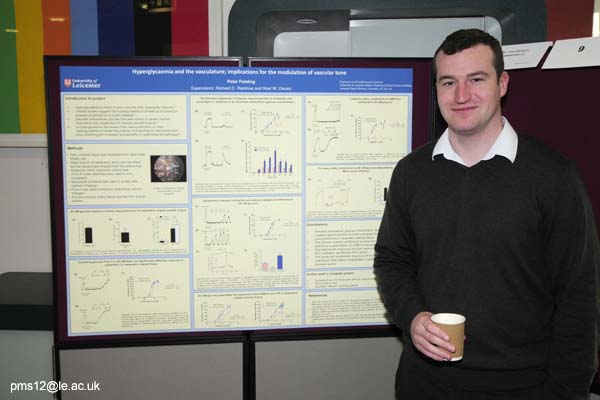 posters2012-006