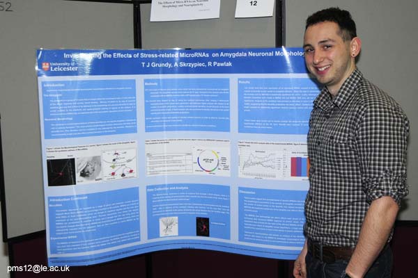 posters2012-007