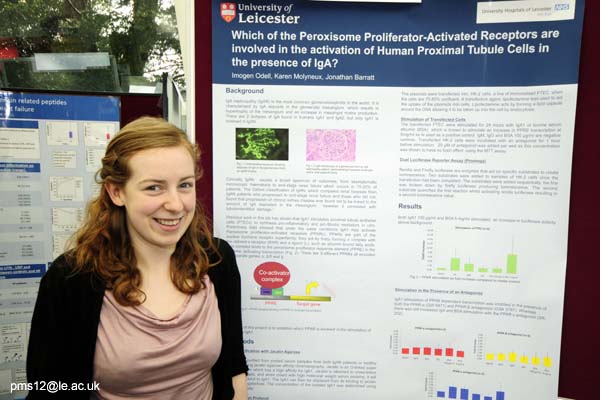 posters2012-017