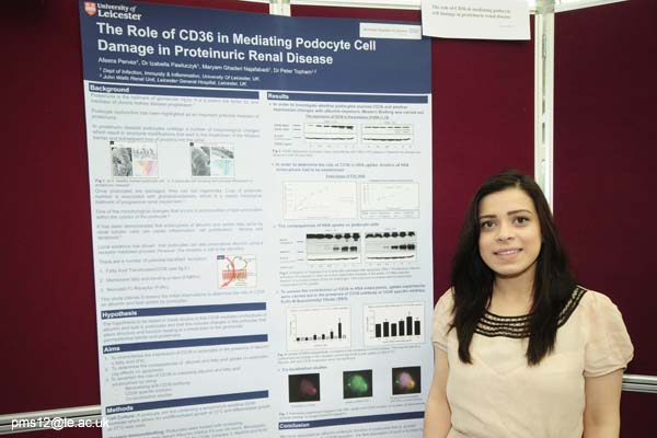 posters2012-021