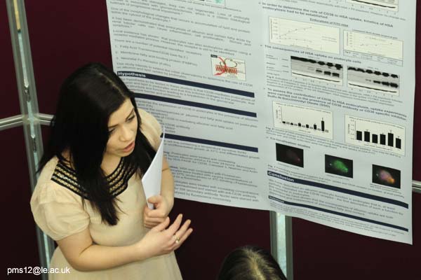 posters2012-036