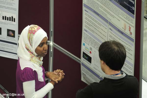 posters2012-037