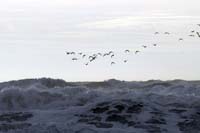 south-coast167